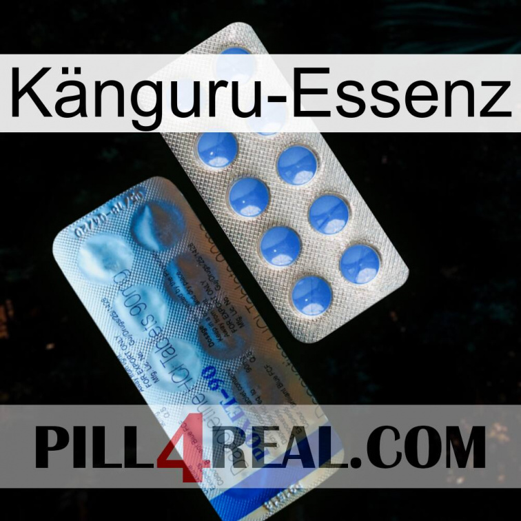 Känguru-Essenz 40